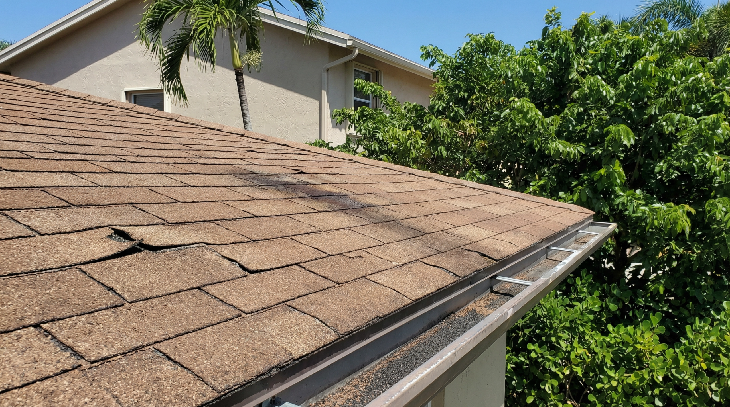 Close up of damaged roof shingles on a Boca Raton home needing replacement.